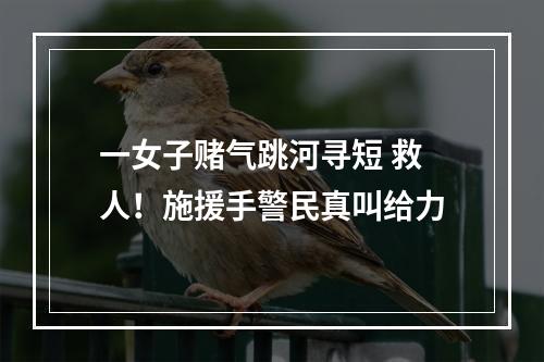 一女子赌气跳河寻短 救人！施援手警民真叫给力