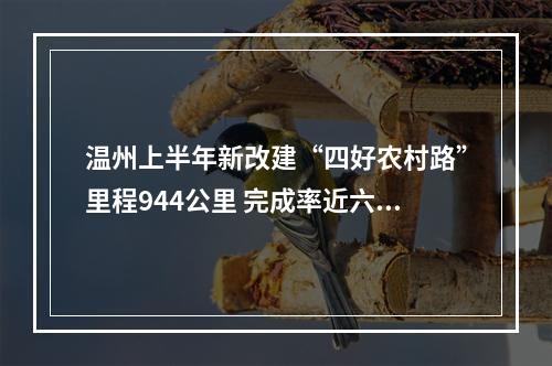 温州上半年新改建“四好农村路”里程944公里 完成率近六成