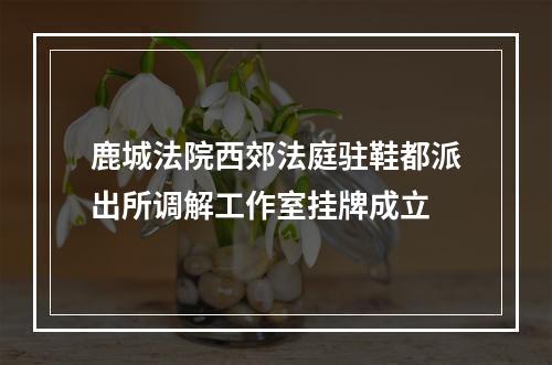 鹿城法院西郊法庭驻鞋都派出所调解工作室挂牌成立