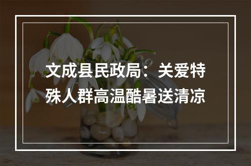 文成县民政局：关爱特殊人群高温酷暑送清凉
