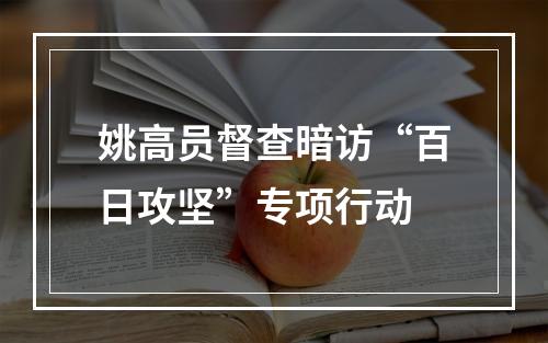 姚高员督查暗访“百日攻坚”专项行动