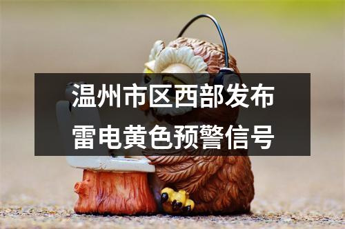 温州市区西部发布雷电黄色预警信号