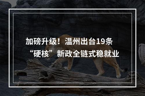 加磅升级！温州出台19条“硬核”新政全链式稳就业