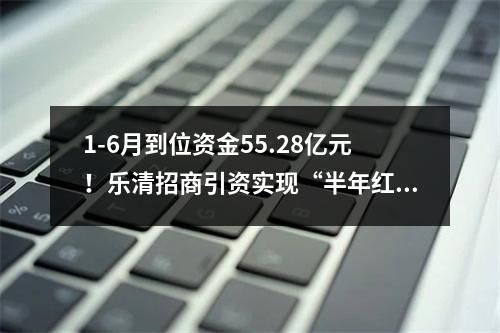 1-6月到位资金55.28亿元！乐清招商引资实现“半年红”