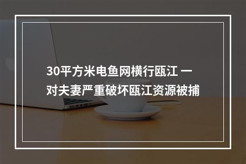30平方米电鱼网横行瓯江 一对夫妻严重破坏瓯江资源被捕