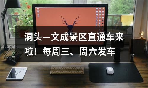 洞头—文成景区直通车来啦！每周三、周六发车