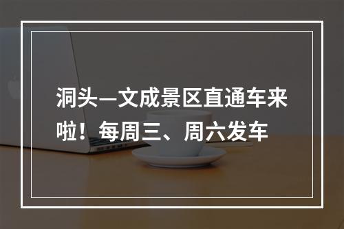 洞头—文成景区直通车来啦！每周三、周六发车