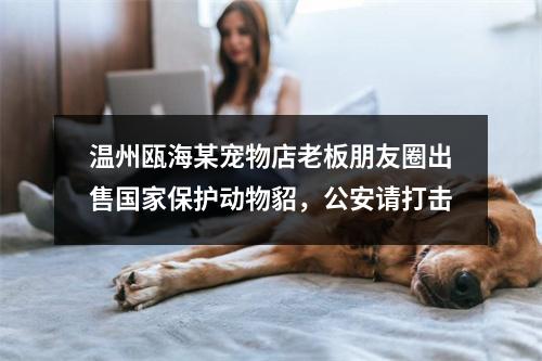 温州瓯海某宠物店老板朋友圈出售国家保护动物貂，公安请打击