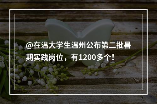 @在温大学生温州公布第二批暑期实践岗位，有1200多个！