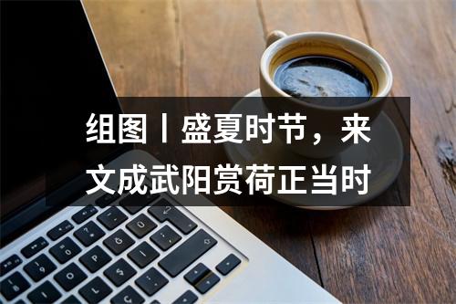 组图丨盛夏时节，来文成武阳赏荷正当时