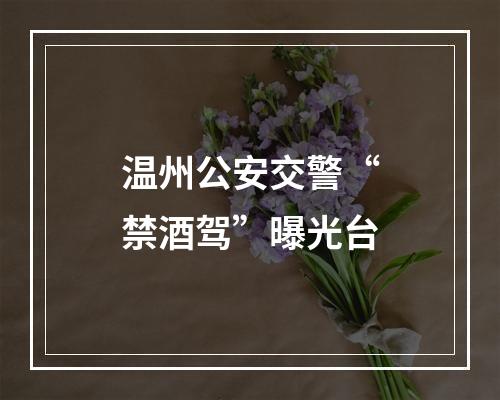 温州公安交警“禁酒驾”曝光台