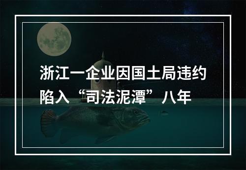 浙江一企业因国土局违约陷入“司法泥潭”八年