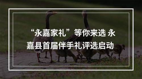 “永嘉家礼”等你来选 永嘉县首届伴手礼评选启动