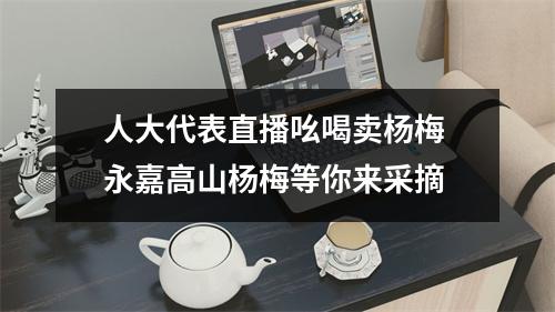 人大代表直播吆喝卖杨梅 永嘉高山杨梅等你来采摘