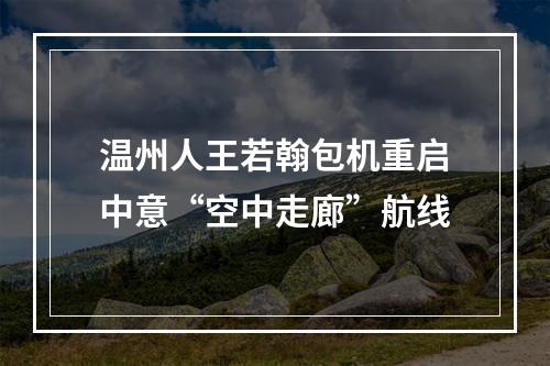温州人王若翰包机重启中意“空中走廊”航线