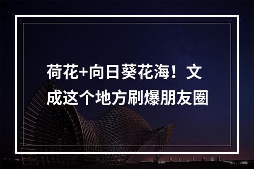 荷花+向日葵花海！文成这个地方刷爆朋友圈