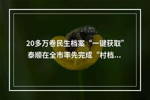 20多万卷民生档案“一键获取” 泰顺在全市率先完成“村档乡管”