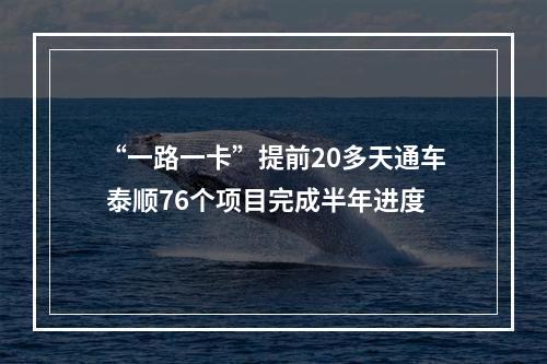 “一路一卡”提前20多天通车 泰顺76个项目完成半年进度