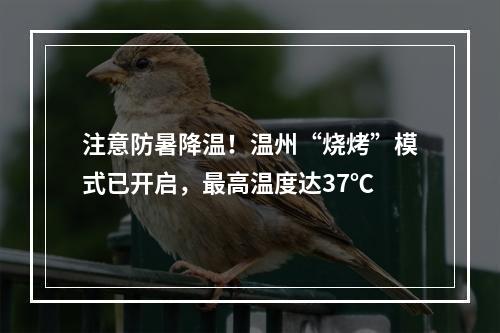 注意防暑降温！温州“烧烤”模式已开启，最高温度达37℃
