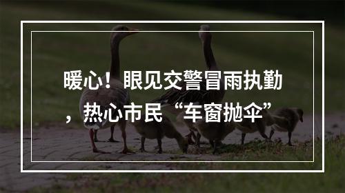 暖心！眼见交警冒雨执勤，热心市民“车窗抛伞”