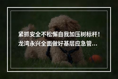 紧抓安全不松懈自我加压树标杆！龙湾永兴全面做好基层应急管理工作