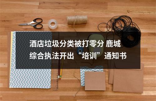 酒店垃圾分类被打零分 鹿城综合执法开出“培训”通知书
