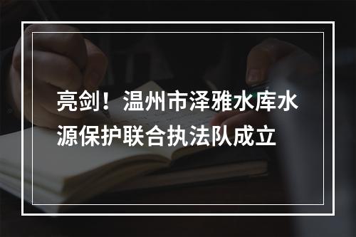 亮剑！温州市泽雅水库水源保护联合执法队成立