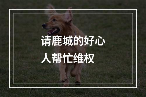 请鹿城的好心人帮忙维权