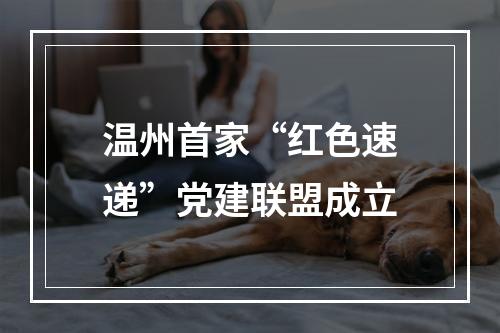 温州首家“红色速递”党建联盟成立