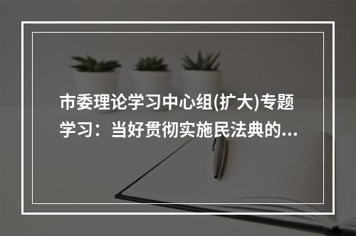 市委理论学习中心组(扩大)专题学习：当好贯彻实施民法典的示范表率