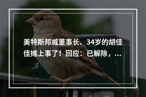 美特斯邦威董事长、34岁的胡佳佳摊上事了！回应：已解除，涉及上海某店铺承租事宜