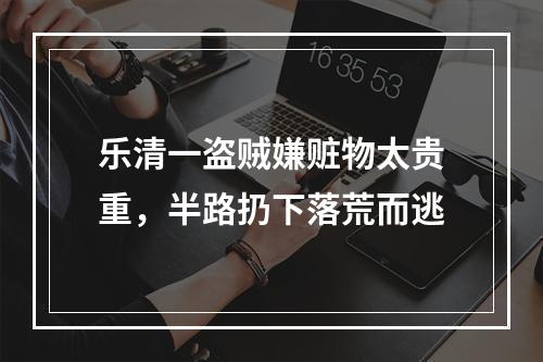 乐清一盗贼嫌赃物太贵重，半路扔下落荒而逃