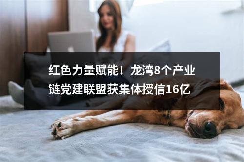 红色力量赋能！龙湾8个产业链党建联盟获集体授信16亿