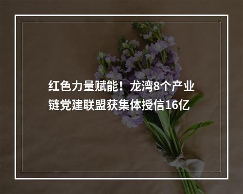红色力量赋能！龙湾8个产业链党建联盟获集体授信16亿