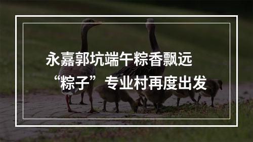 永嘉郭坑端午粽香飘远 “粽子”专业村再度出发