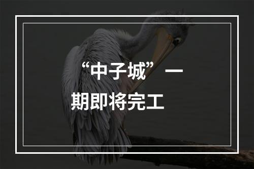 “中子城”一期即将完工