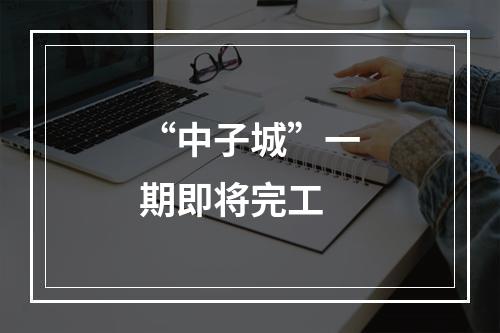 “中子城”一期即将完工