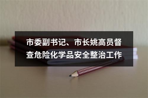 市委副书记、市长姚高员督查危险化学品安全整治工作