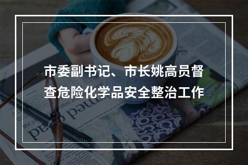 市委副书记、市长姚高员督查危险化学品安全整治工作