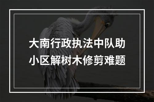 大南行政执法中队助小区解树木修剪难题