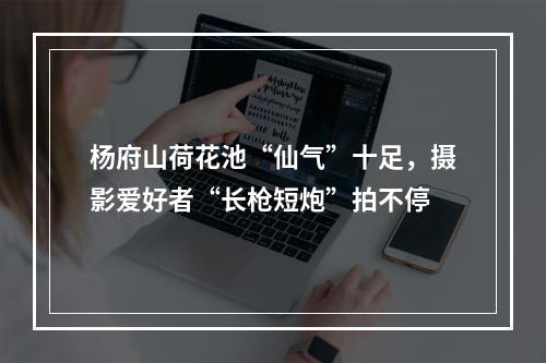 杨府山荷花池“仙气”十足，摄影爱好者“长枪短炮”拍不停