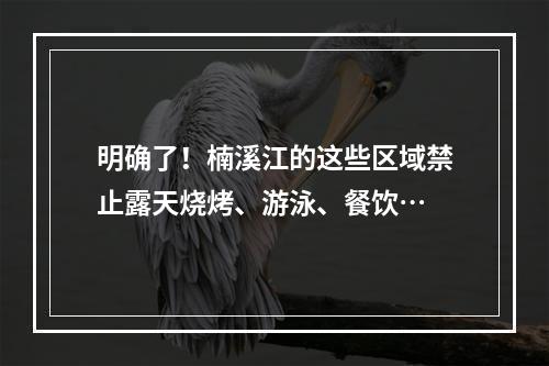 明确了！楠溪江的这些区域禁止露天烧烤、游泳、餐饮…