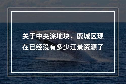 关于中央涂地块，鹿城区现在已经没有多少江景资源了