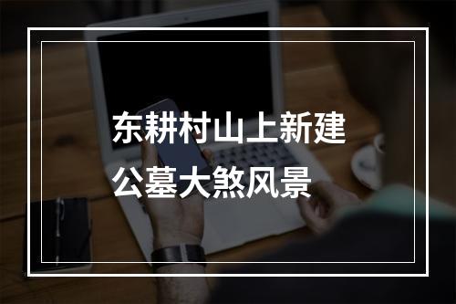 东耕村山上新建公墓大煞风景
