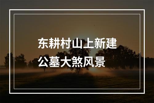 东耕村山上新建公墓大煞风景