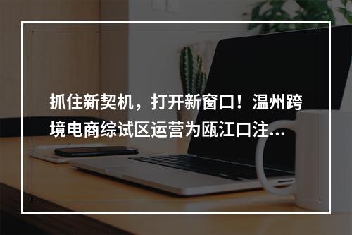 抓住新契机，打开新窗口！温州跨境电商综试区运营为瓯江口注入新活力