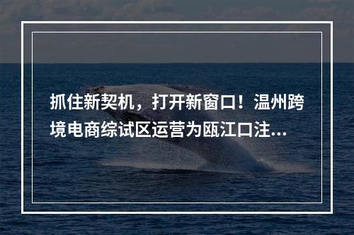 抓住新契机，打开新窗口！温州跨境电商综试区运营为瓯江口注入新活力