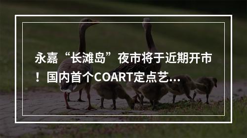 永嘉“长滩岛”夜市将于近期开市！国内首个COART定点艺术营地将落户楠溪江！