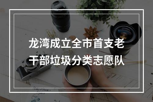 龙湾成立全市首支老干部垃圾分类志愿队
