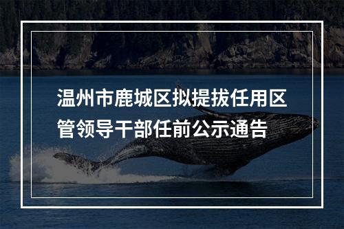 温州市鹿城区拟提拔任用区管领导干部任前公示通告